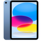 iPad 10th Gen / 10.9 (2022) Wi-fi / LTE